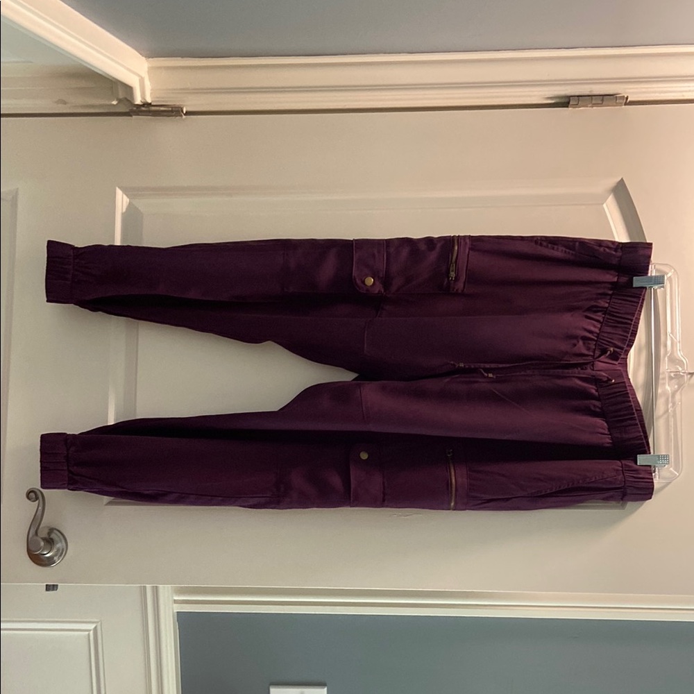 Banana Republic Purple Velvet Track Pants
